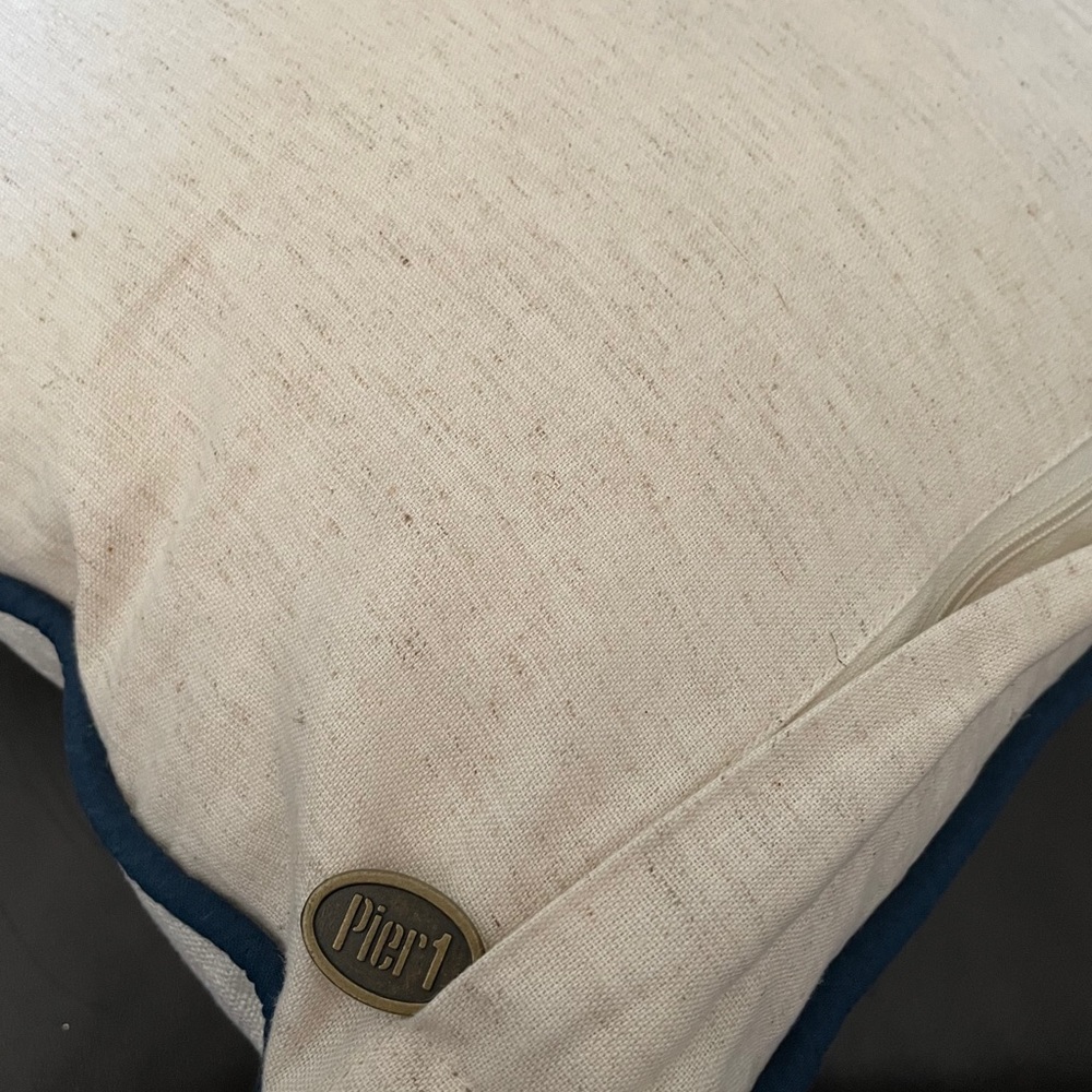 Pier 1 Blue & Beige Pillow